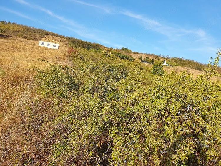 Teren de 4000 mp, în Central