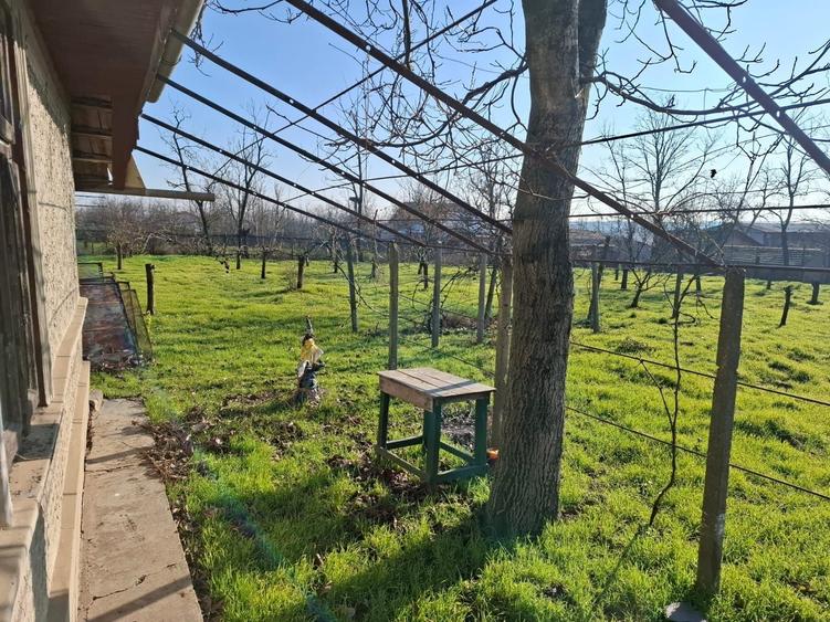 Casă cu 2 camere în Ion Roată