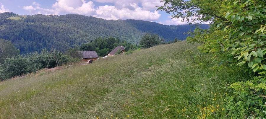 Teren de 2263 mp, în Horea