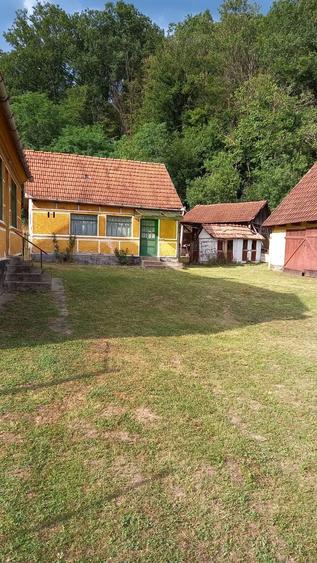 casa lntre zam ?i savar?in 6400 intravilan zona foarte buna - 5