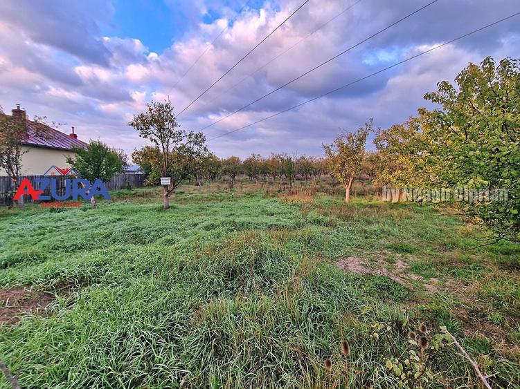 Teren Construcții intravilan de 3207 mp, în Bascov