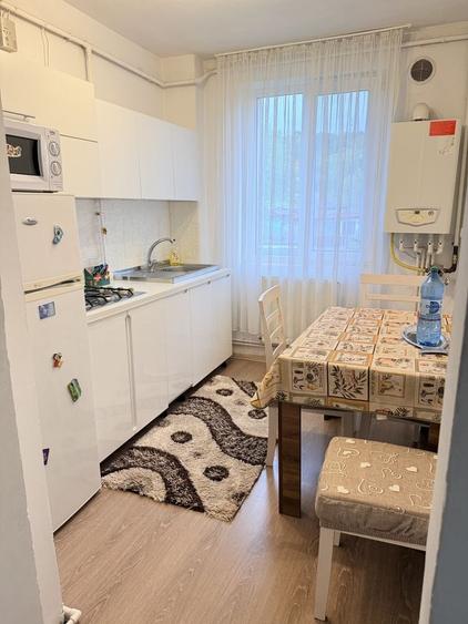 Apartament 2 camere de inchiriat - 4