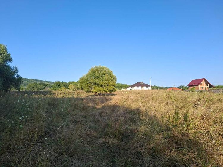 Teren de 1000 mp, în Bârnova