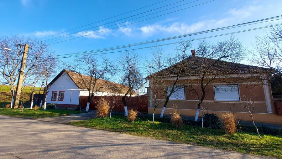 Casă cu 4 camere cu Teren 2984 Mp în Central