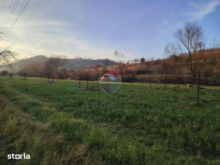 Teren de 2619 mp, în Bârsana
