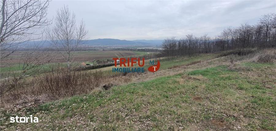 Teren de 5300 mp, în Ciugud