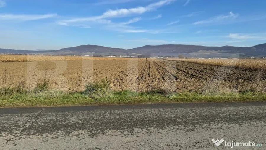 Teren de 5300 mp, în Arcalia