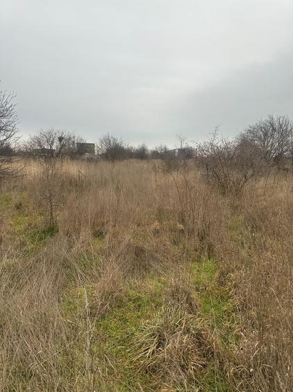 Teren intravilan de 500 mp, în Agigea