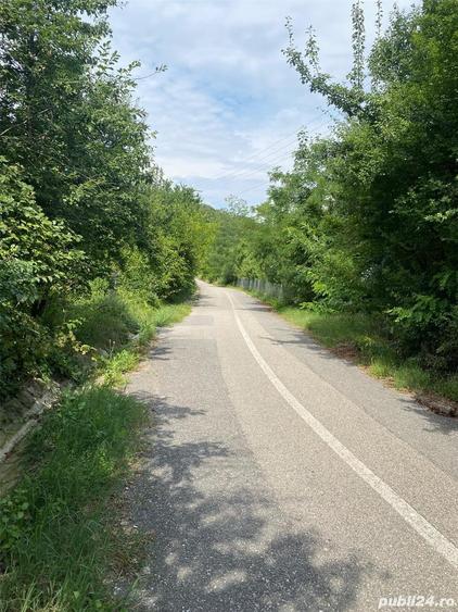 Teren de 10000 mp, în Căzănești (Milcoiu)