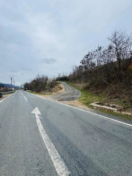 Teren de 6042 mp, în Berzasca