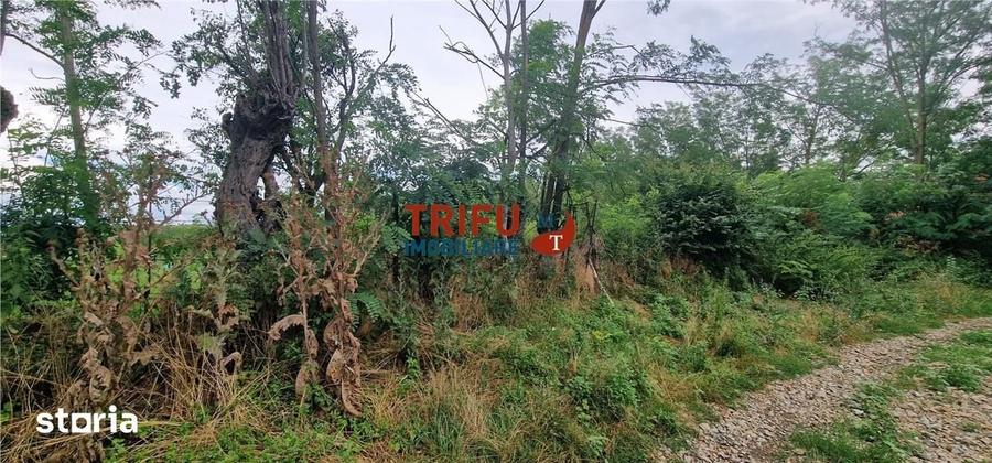 Teren de 1300 mp, în Straja