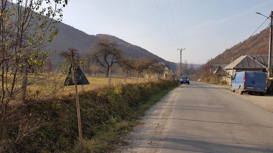 Teren Construcții intravilan de 7412 mp, în Bârsana