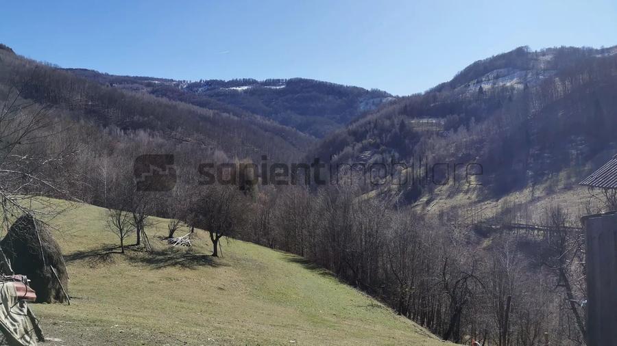 Teren Construcții intravilan de 10100 mp, în Munteni