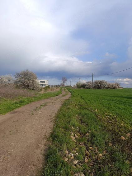 Teren de 300 mp, în Central