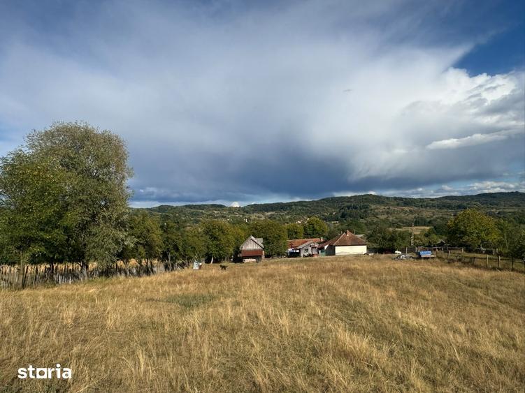 Casă cu 5 camere cu Teren 11000 Mp în Alimpești