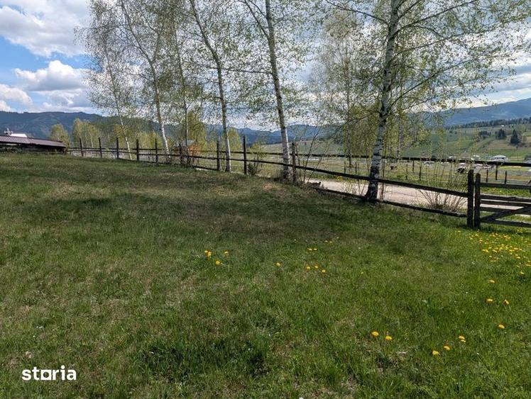 Vand teren la munte intravilan in Sarul Dornei la 8 km de Vatra Dornei - 4