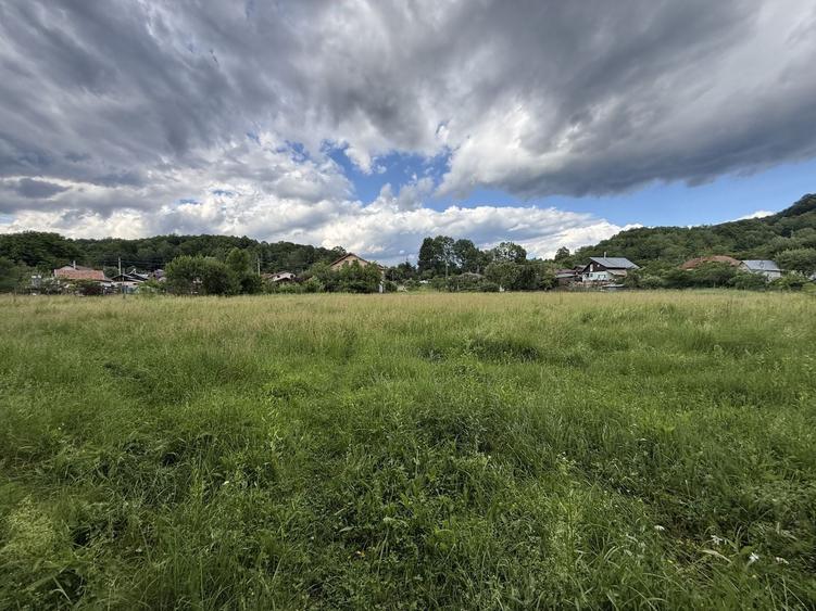 Teren Construcții intravilan de 3800 mp, în Provița de Sus
