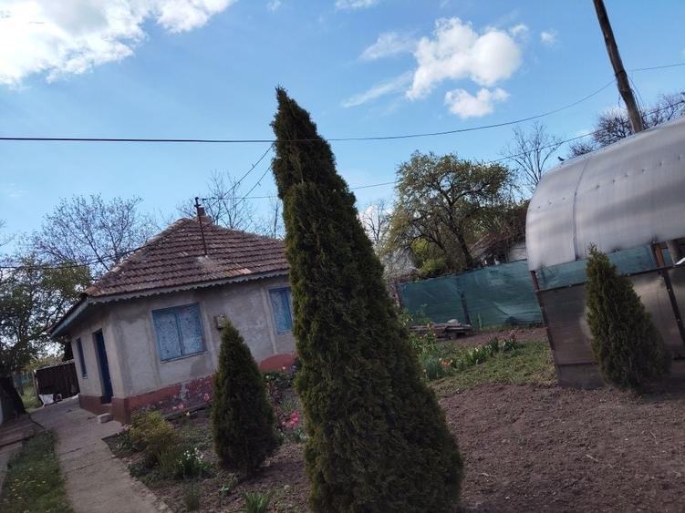 Casă cu 3 camere cu Teren 700 Mp în Amara