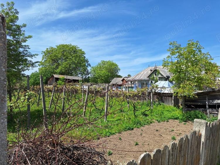 Teren în Răucești