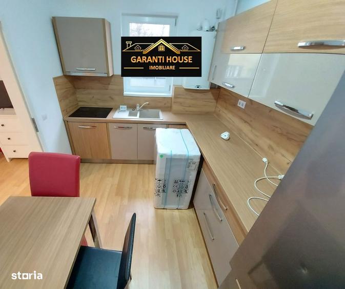Victor Babes, apartament cu 2 camere+ 60 mp terasa, parcare, 330/Luna - 6