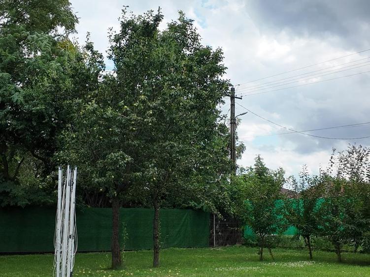 Casă individuală cu 4 camere cu Teren 1468 Mp în Bărăitaru