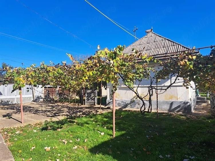 Casă individuală cu 4 camere cu Teren 3500 Mp în Dolhești