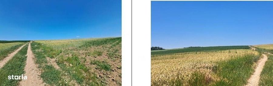 Teren de 4650 mp, în Ciohorăni