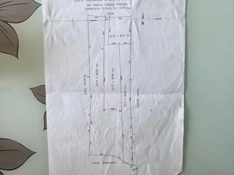 Teren de 4645 mp, în Bădila