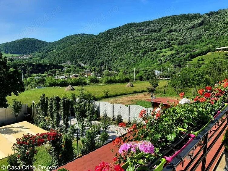 Teren de 5333 mp, în Central