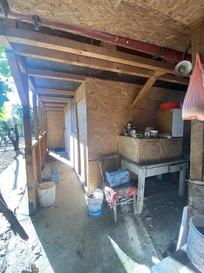 Casă cu 3 camere cu Teren 1600 Mp în Central