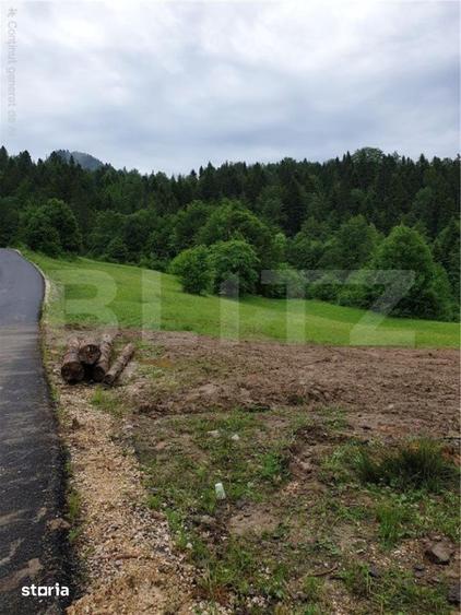 Teren de 923 mp, în Bucium