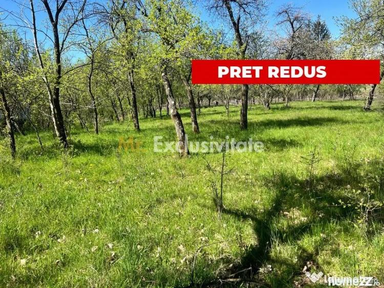 Teren în Corbi