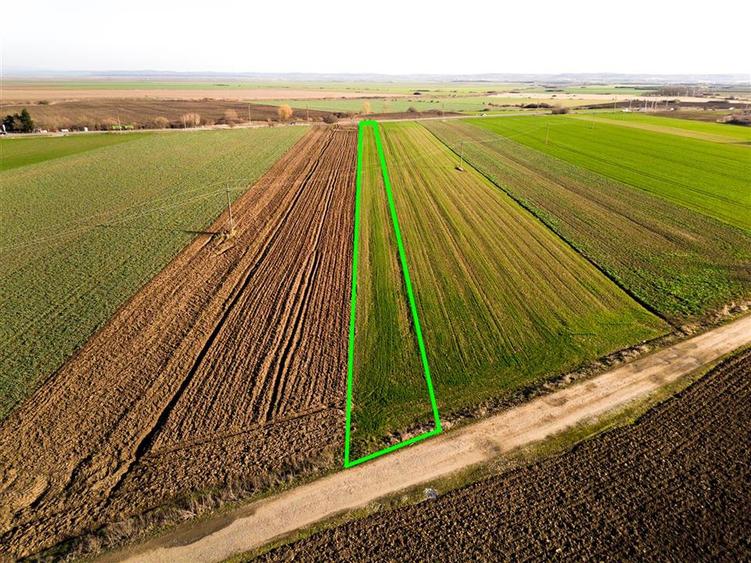 Teren intravilan de 5000 mp, în Tămășeu