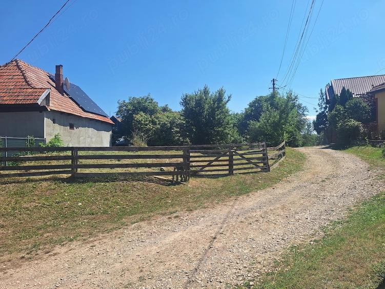 Teren de 3675 mp, în Șaula