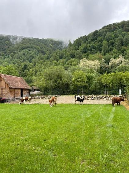 Casă în Măru