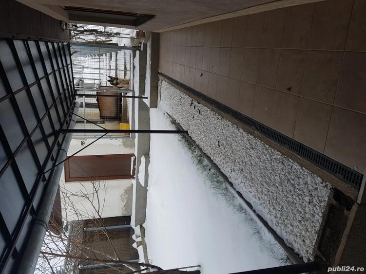 Casă cu 3 camere cu Teren 1150 Mp în Berghia