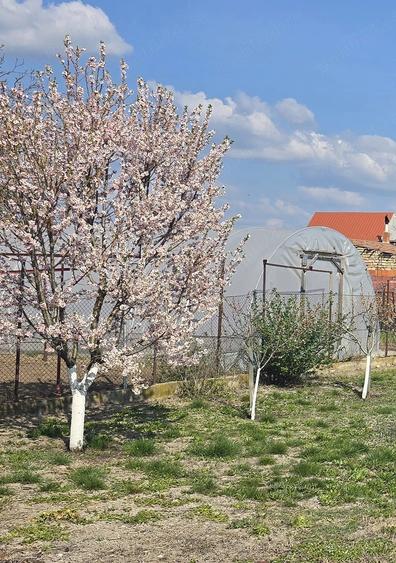 Casă cu 3 camere cu Teren 908 Mp în Central