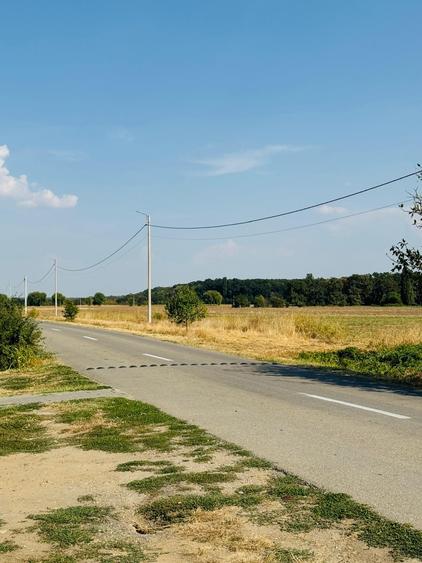 Teren Construcții intravilan de 525 mp, în Șag