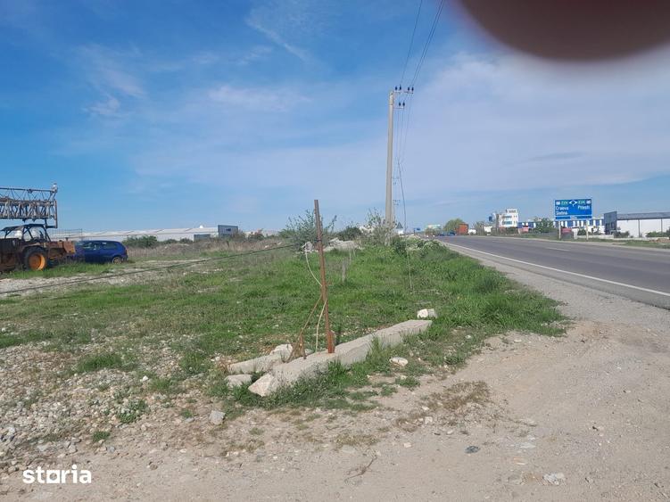 Teren de 30700 mp, în Albota