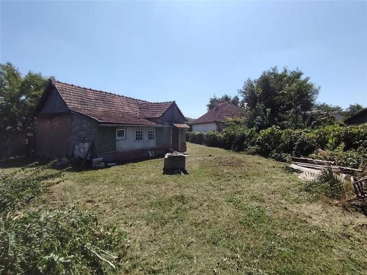 Teren Construcții intravilan de 2500 mp, în Paleu