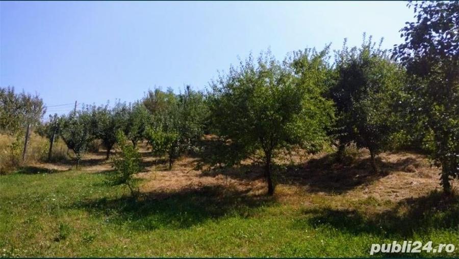 Teren în Raciu