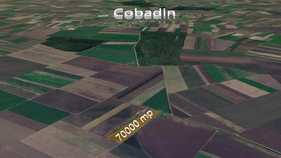 Teren agricol extravilan de 70000 mp, în Cobadin