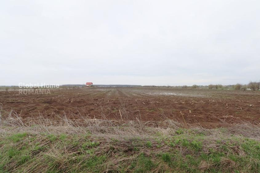 Teren agricol extravilan de 4000 mp, în Corbeanca