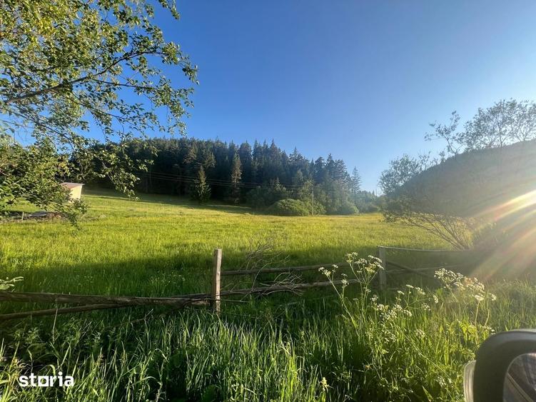 Teren de 500000 mp, în Ciocănești