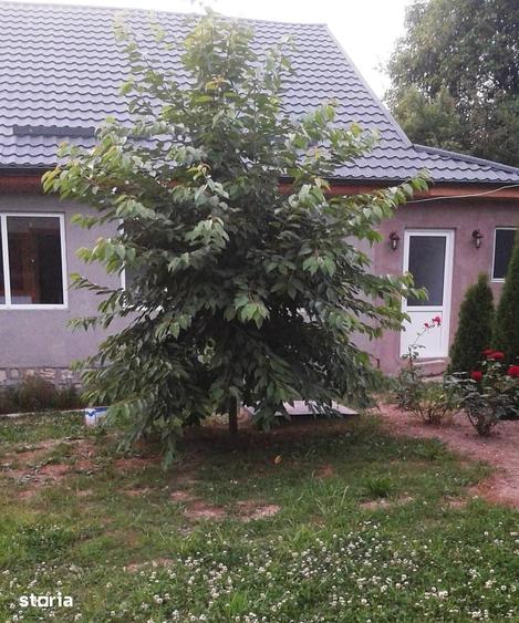 Casă cu 3 camere cu Teren 900 Mp în Bârsești