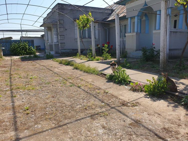 Casă cu 4 camere cu Teren 1853 Mp în Sarichioi
