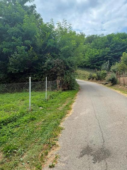 Teren de 771 mp, în Teișani