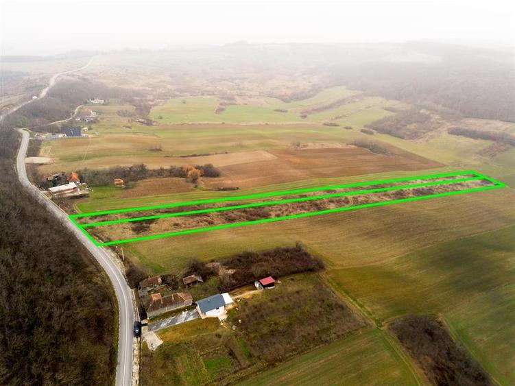 Teren Construcții intravilan de 13041 mp, în Burzuc