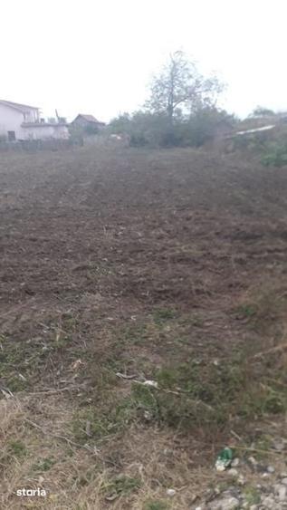 Teren de 3500 mp, în Nicolae Bălcescu