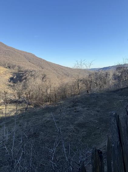 Teren de 1780 mp, în Valea Doftanei